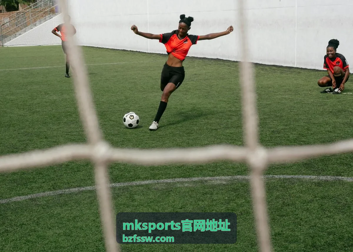 mksports官网地址高级会员完整历史数据归档
