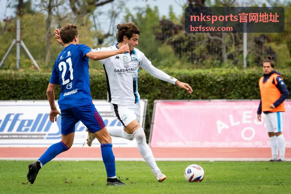 mksports官网地址入口核对与访问步骤说明