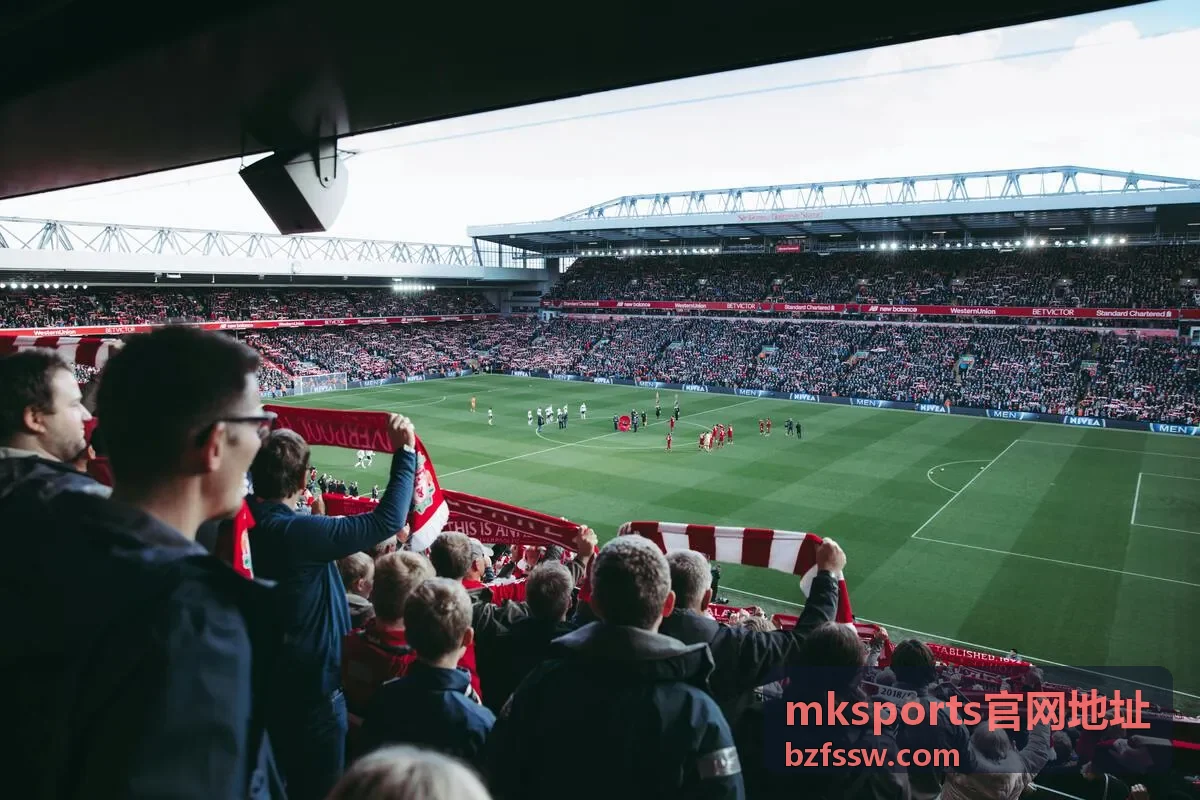 mksports官网地址标准会员数据面板预览