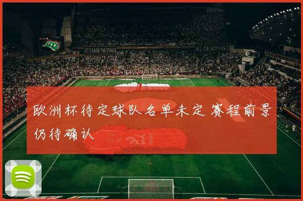 欧洲杯待定球队名单未定 赛程前景仍待确认