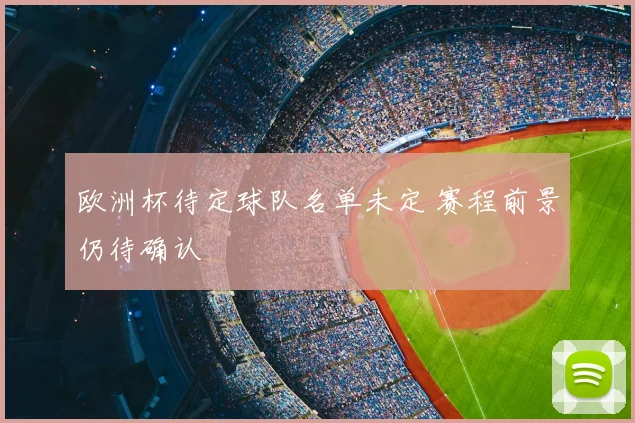 欧洲杯待定球队名单未定 赛程前景仍待确认