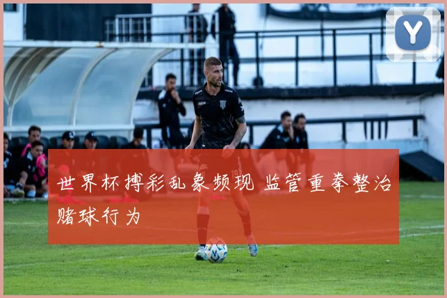 世界杯搏彩乱象频现 监管重拳整治赌球行为