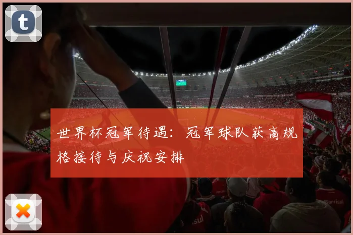 世界杯冠军待遇：冠军球队获高规格接待与庆祝安排