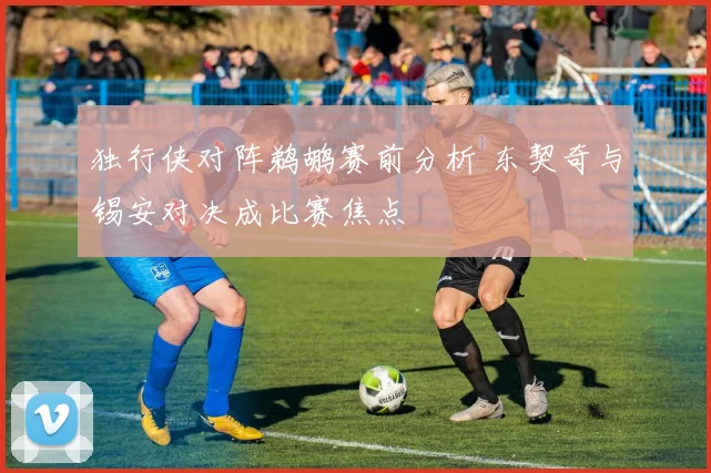 独行侠对阵鹈鹕赛前分析 东契奇与锡安对决成比赛焦点