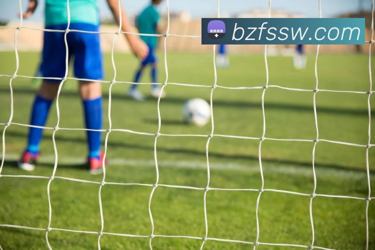 星空官方网站平台发展历程